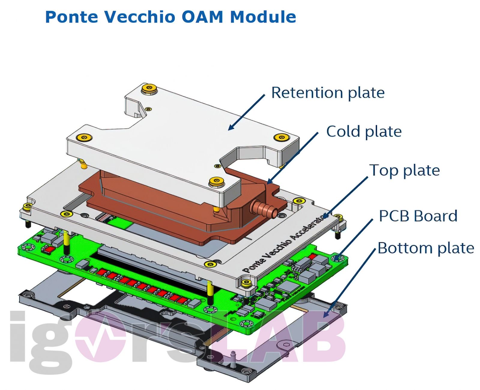 Intel-Ponte-Vecchio-Coolin-Module-1.jpg