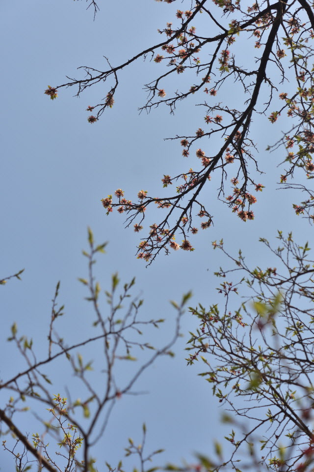 720_4387.JPG