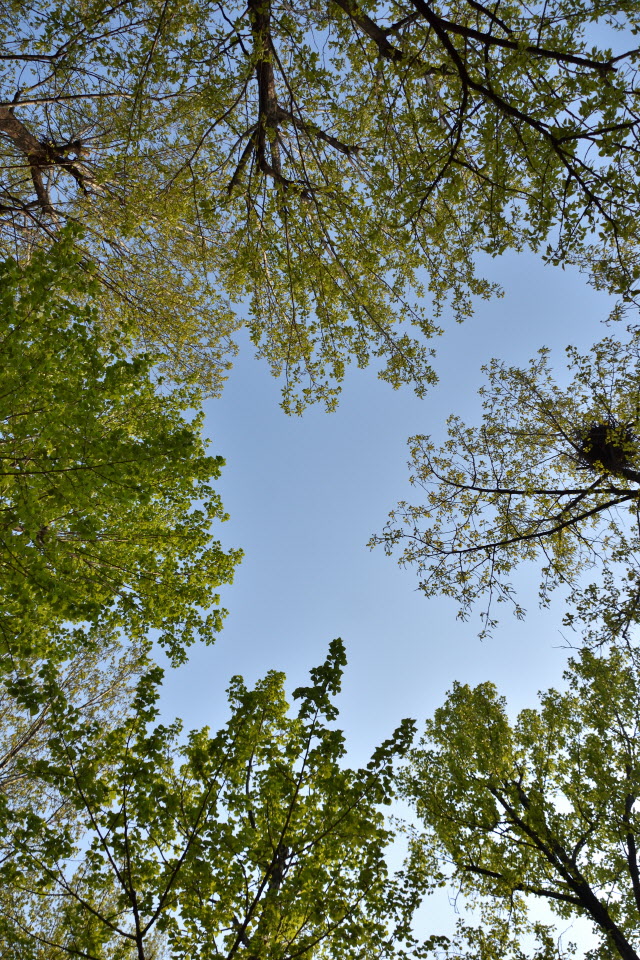 720_4395.JPG