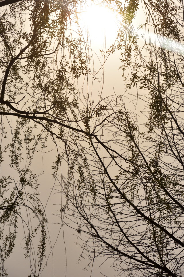 720_4543.JPG