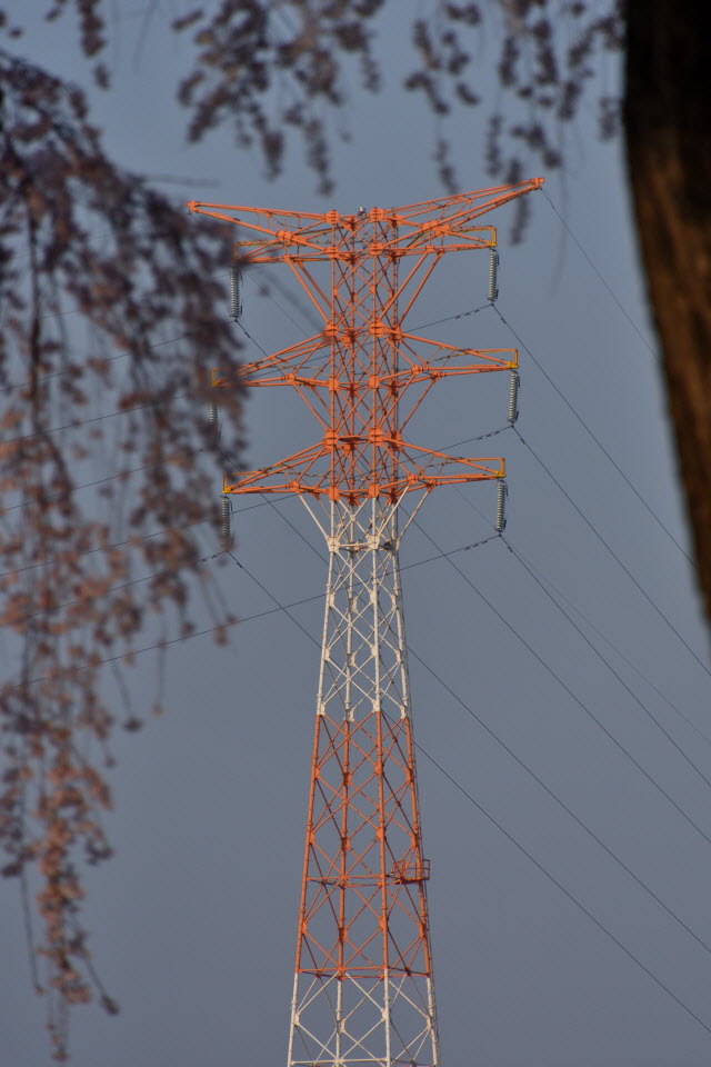 720_4516.JPG
