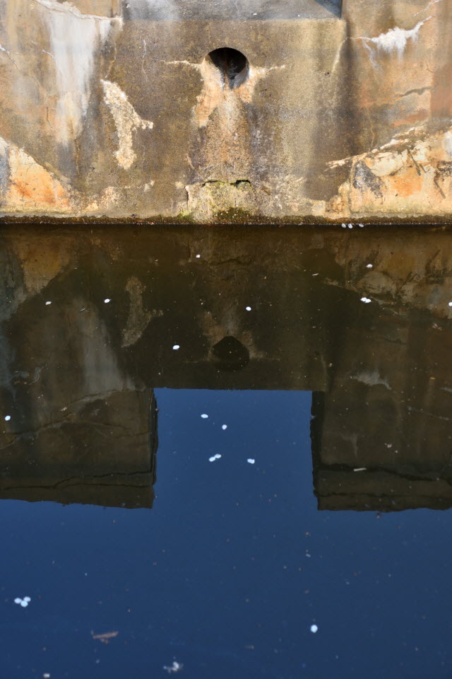 720_4667.JPG