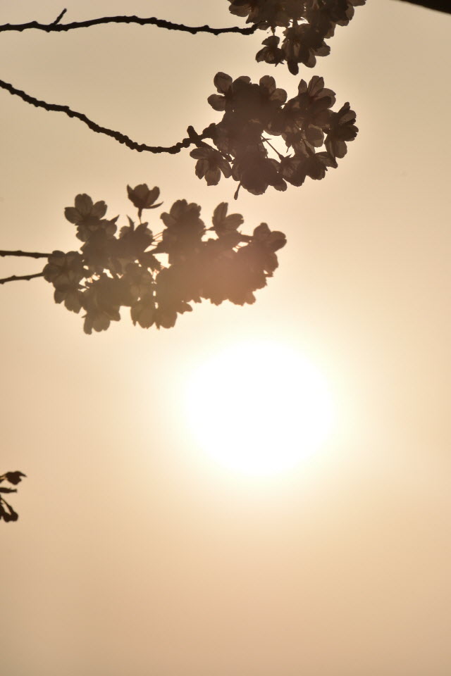 720_4583.JPG
