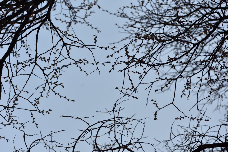 720_4504.JPG