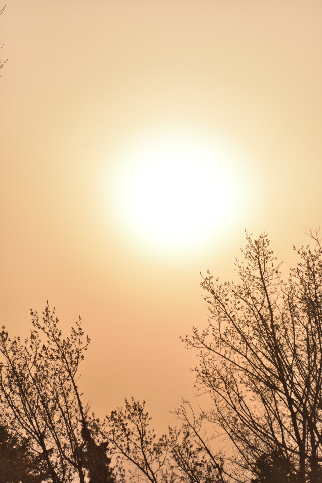 720_4705.JPG