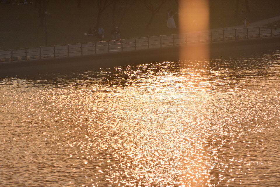 720_4725.JPG