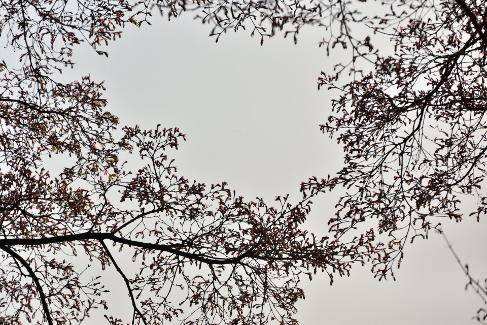 720_4537.JPG