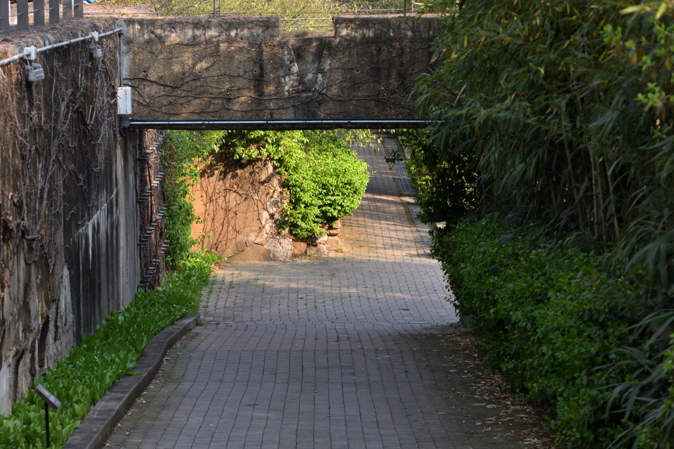 720_4413.JPG