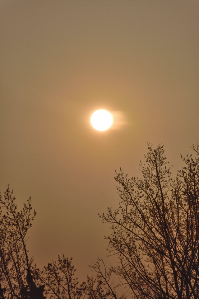 720_4707.JPG