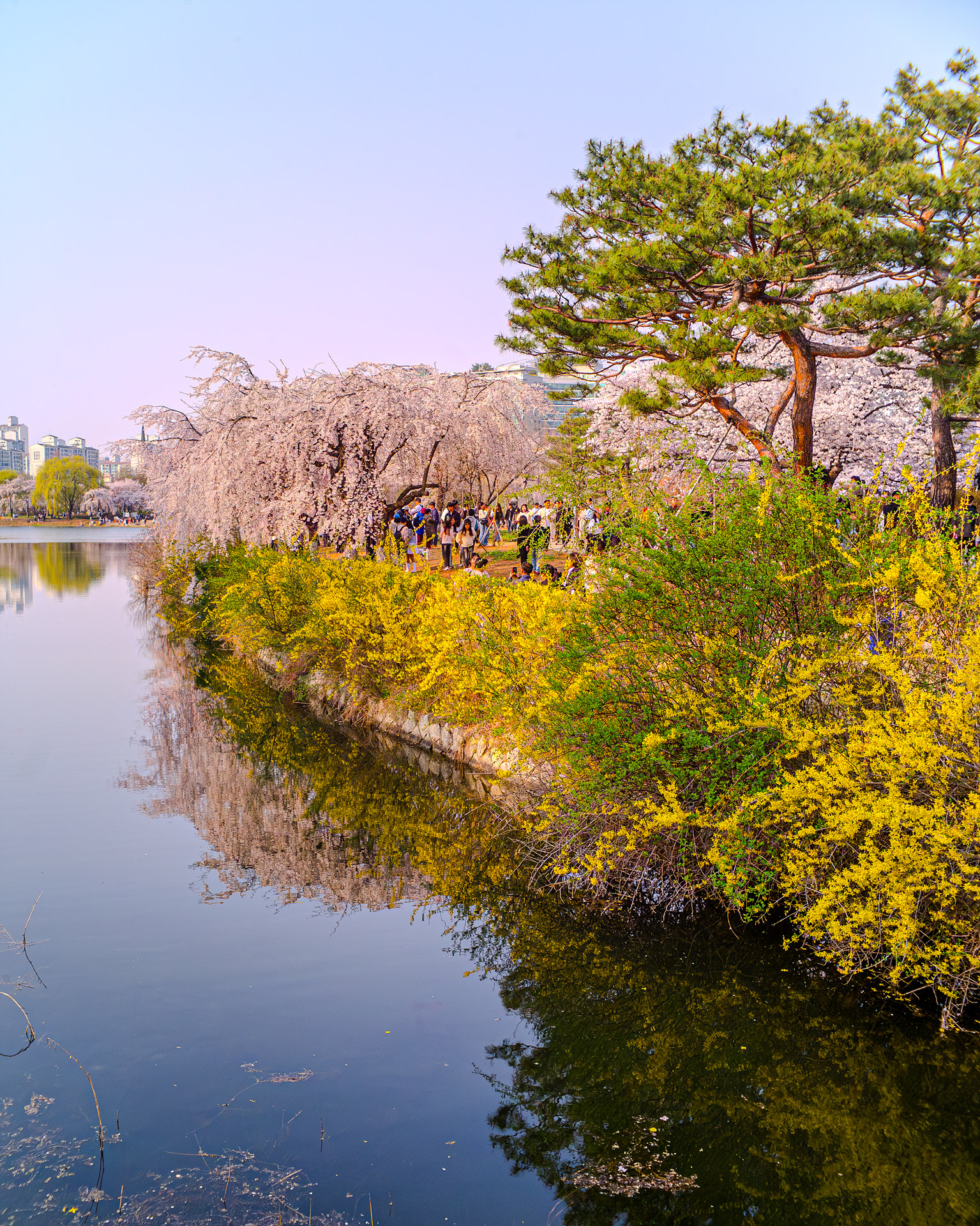42927452-향상됨-NR.jpg
