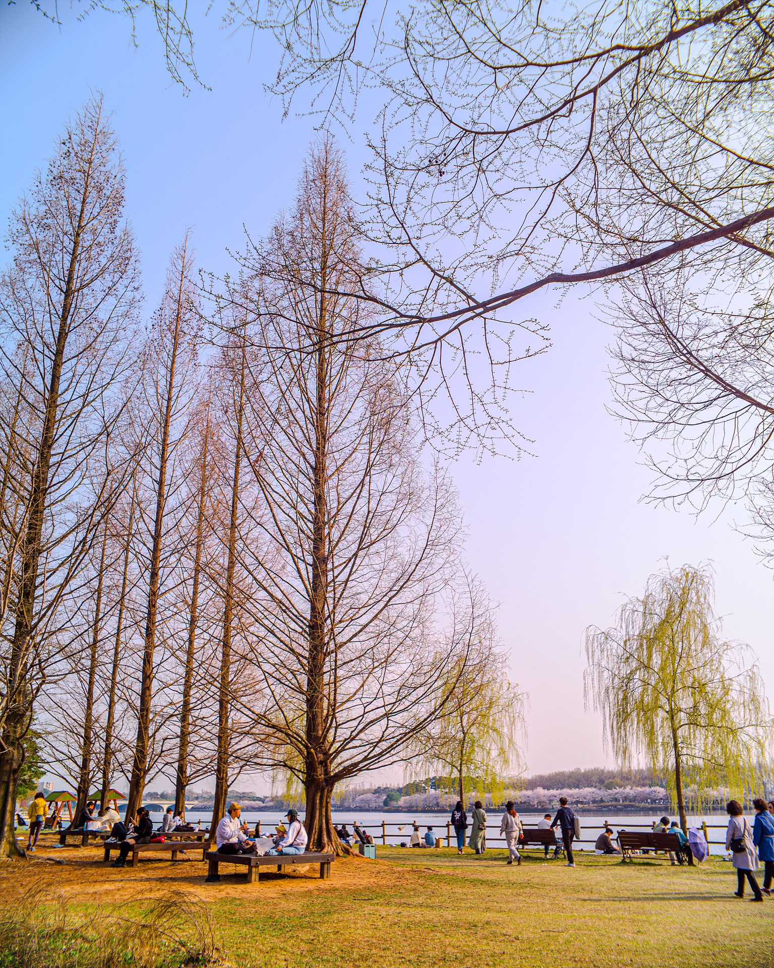 42927465-향상됨-NR.jpg