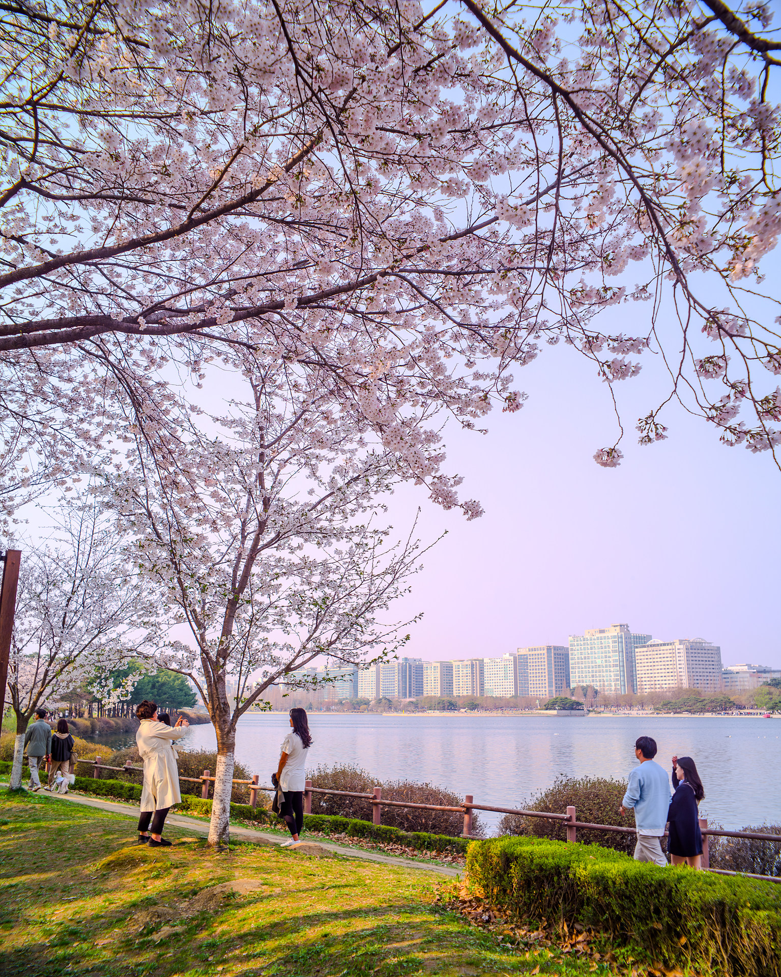 42927439-향상됨-NR.jpg
