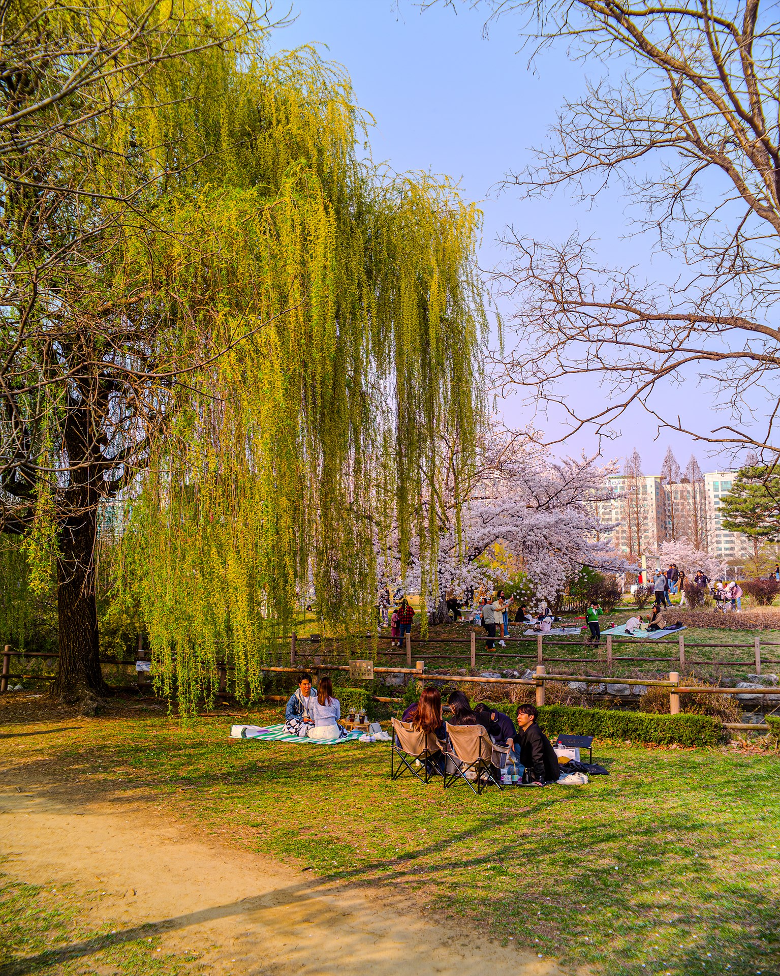 42927450-향상됨-NR.jpg