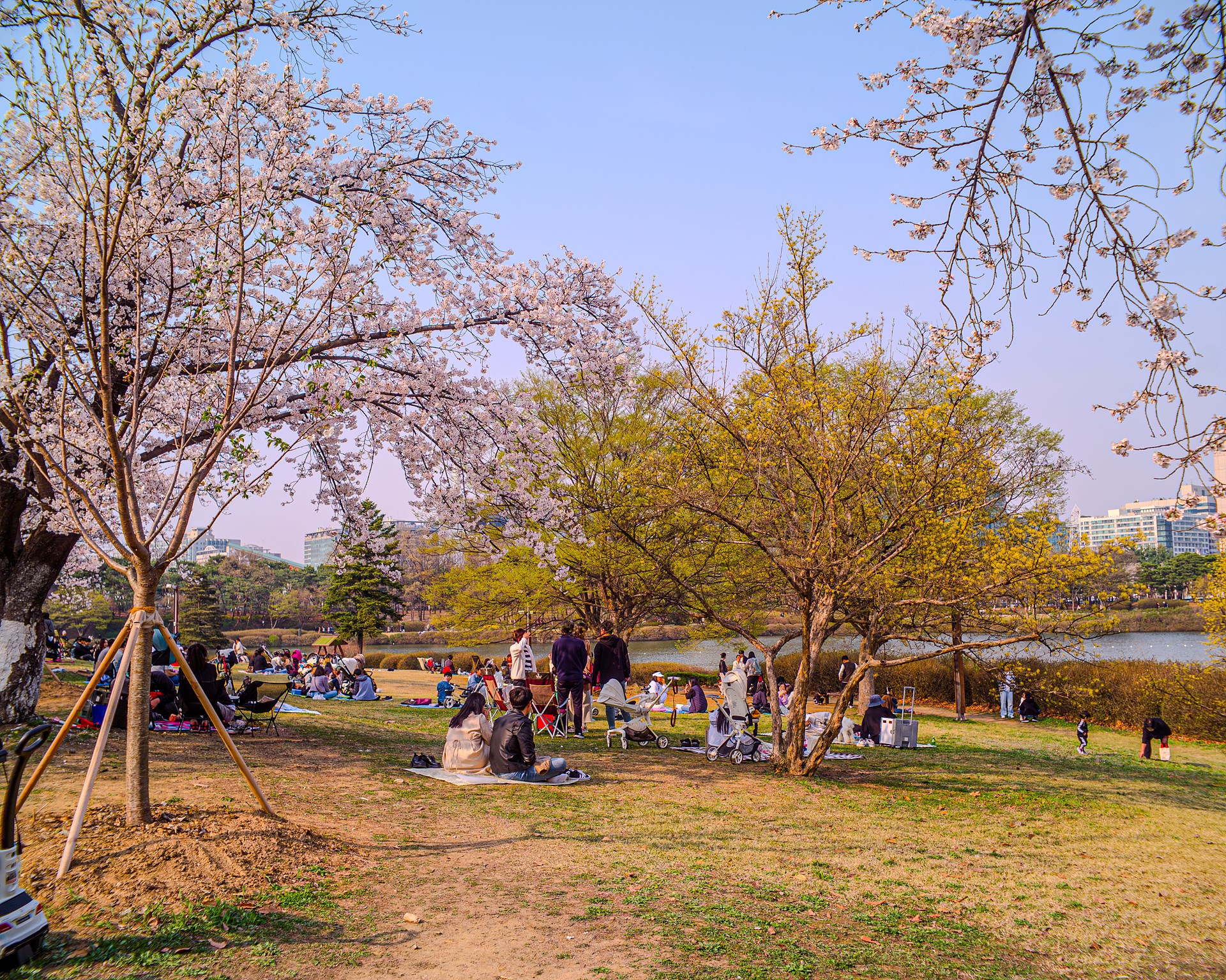 42927431-향상됨-NR.jpg