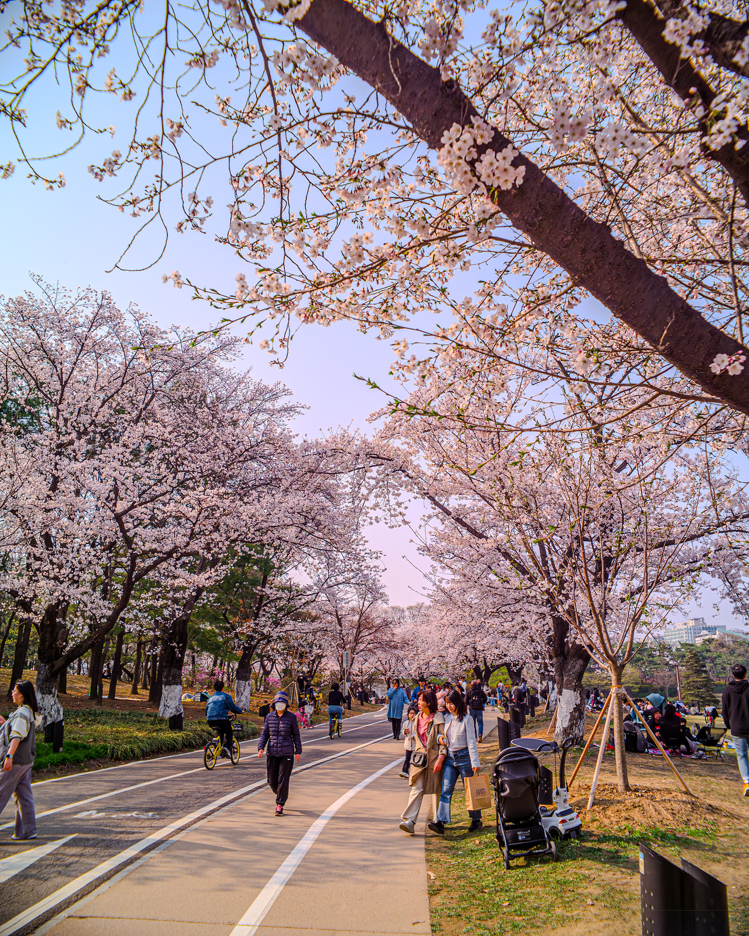 42927430-향상됨-NR.jpg