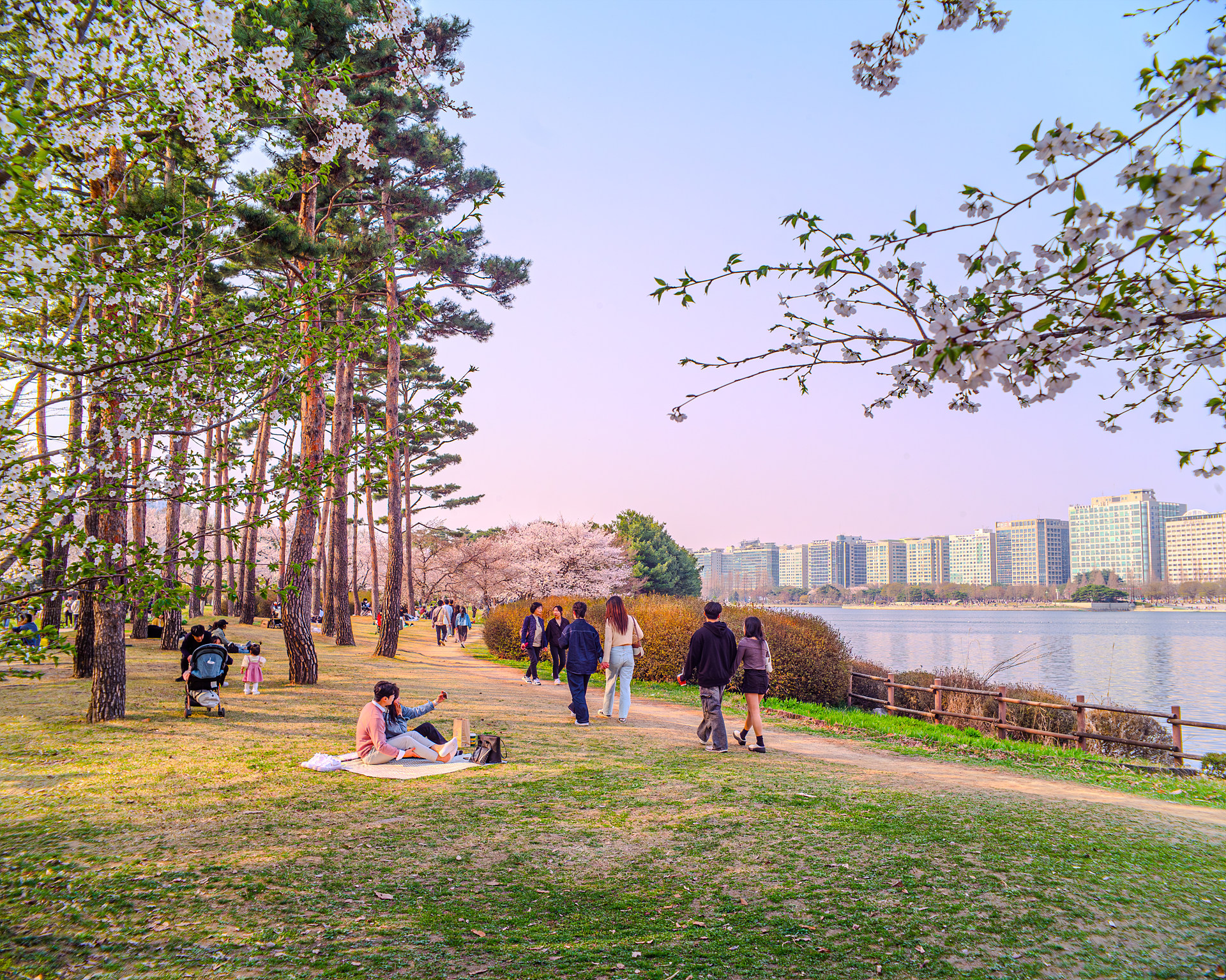 42927442-향상됨-NR.jpg