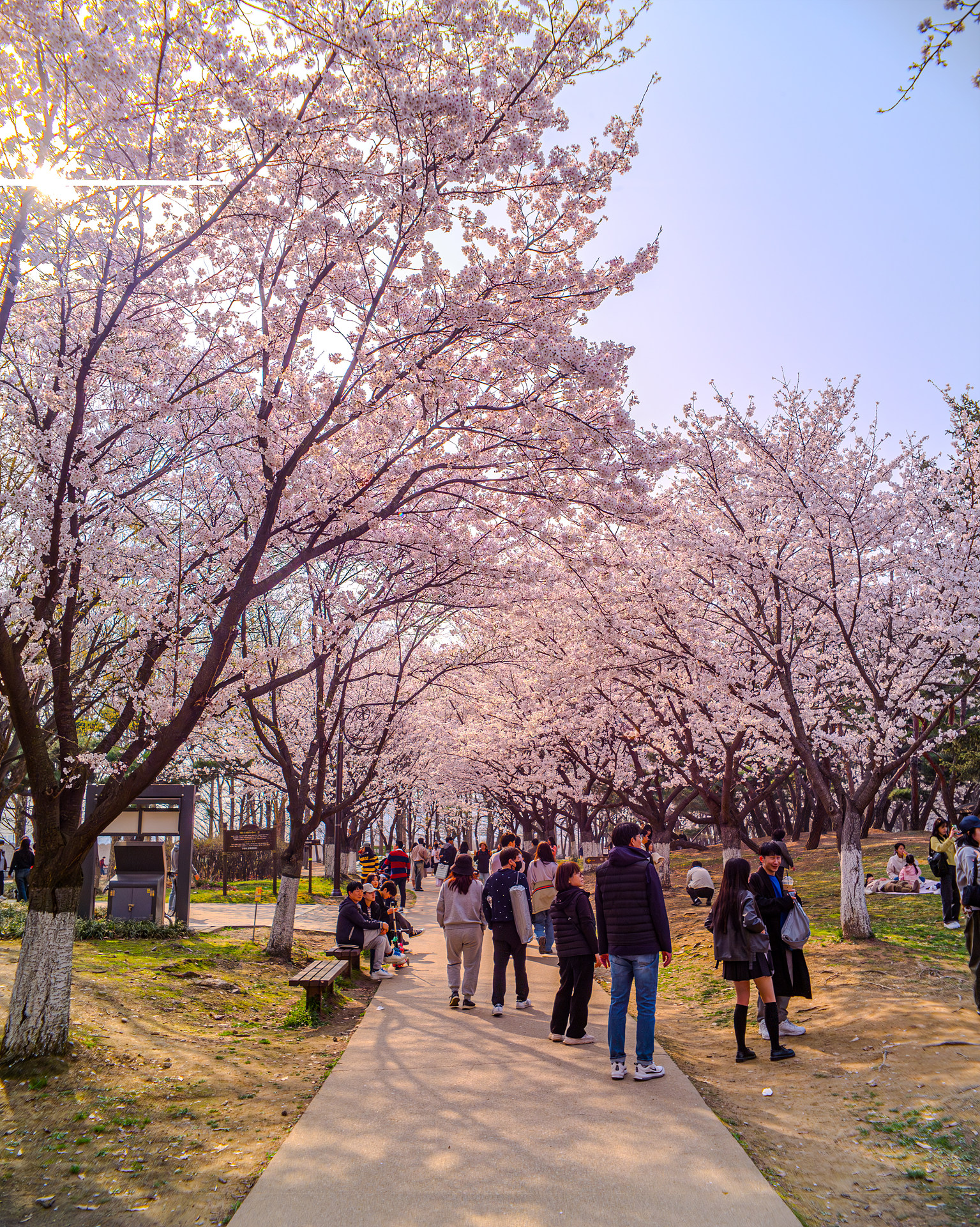 42927437-향상됨-NR.jpg