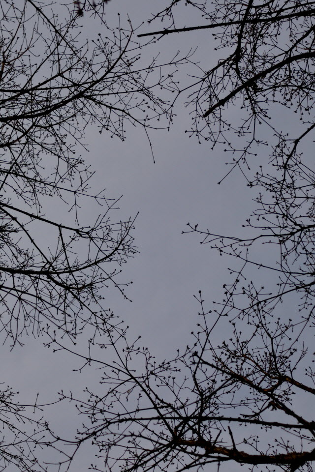 DSC_2227.JPG