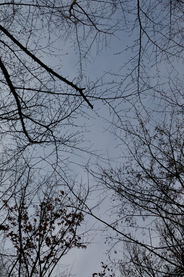 DSC_2219.JPG