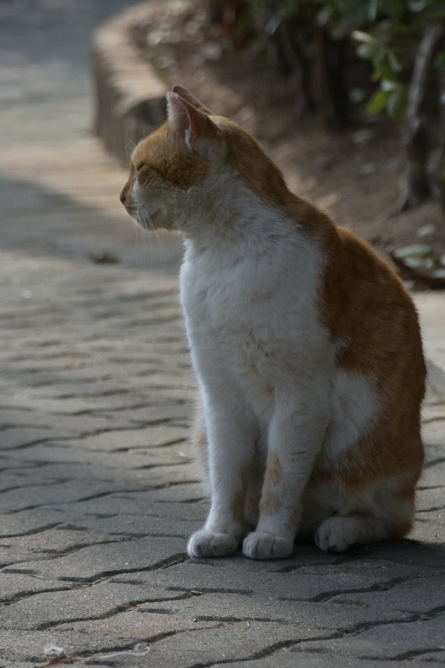 DSC_2189.JPG