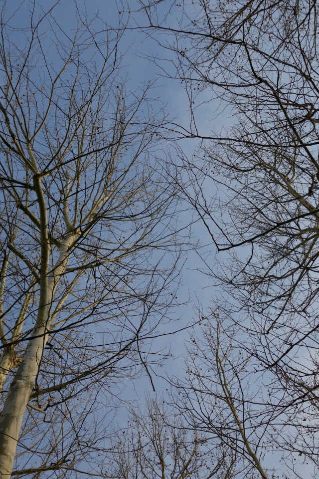 DSC_2182.JPG