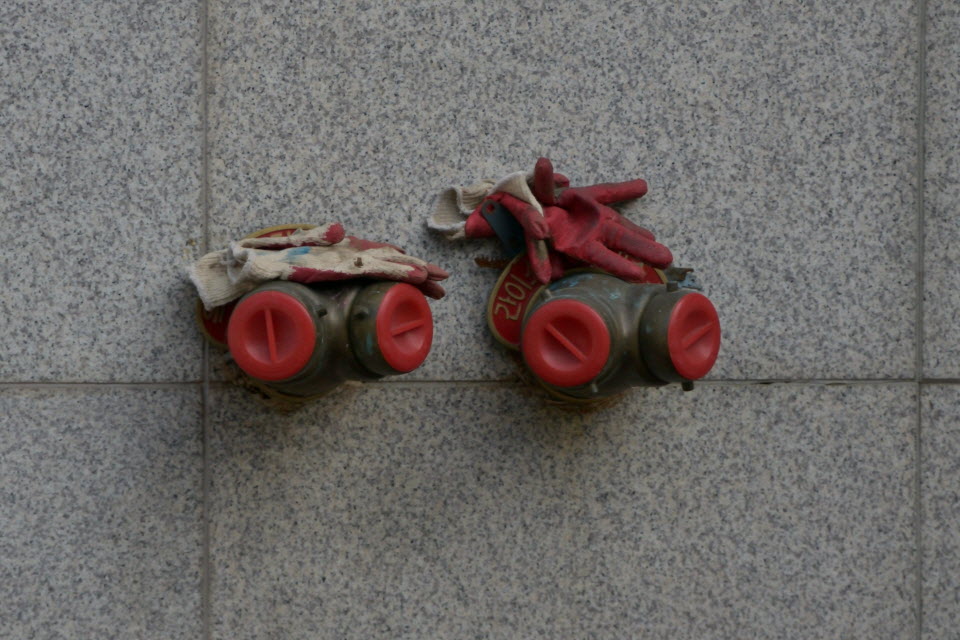 DSC_2129.JPG
