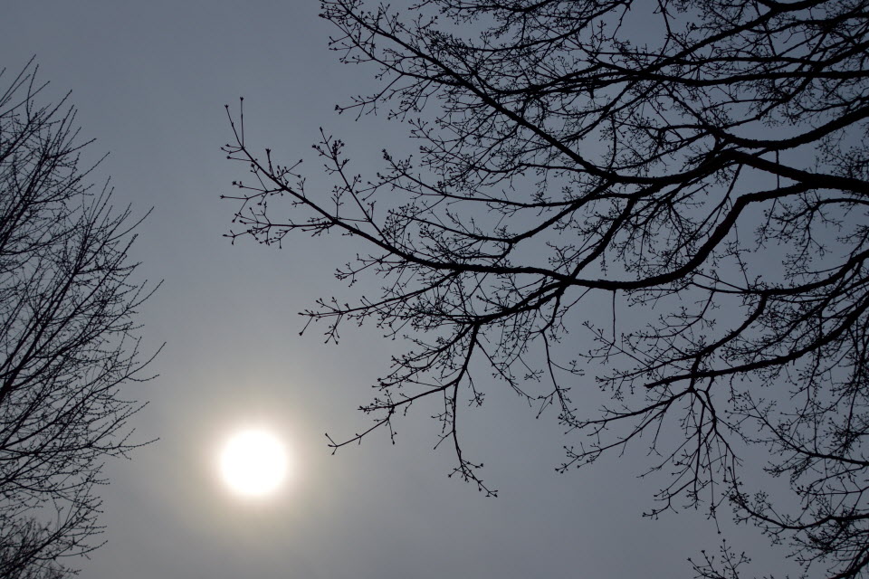 DSC_2230.JPG