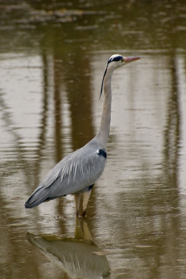 DSC_2149.JPG