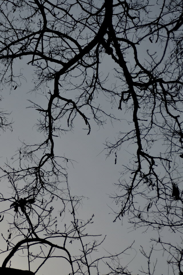 DSC_2221.JPG
