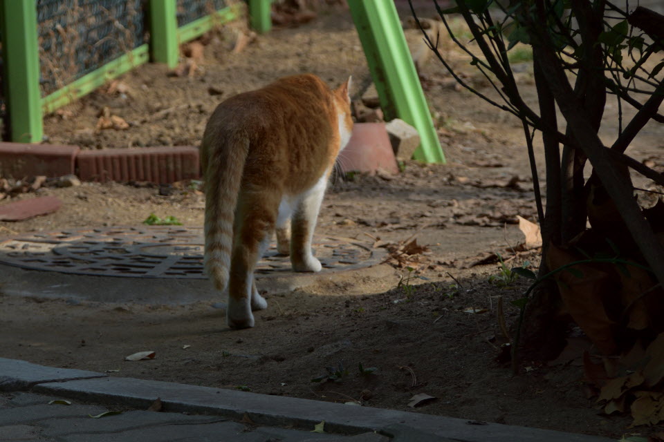 DSC_2191.JPG