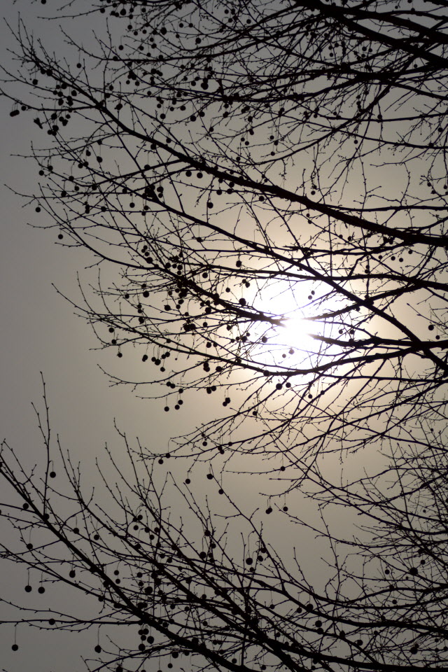 DSC_2208.JPG