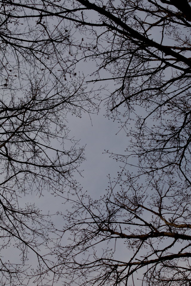 DSC_2226.JPG