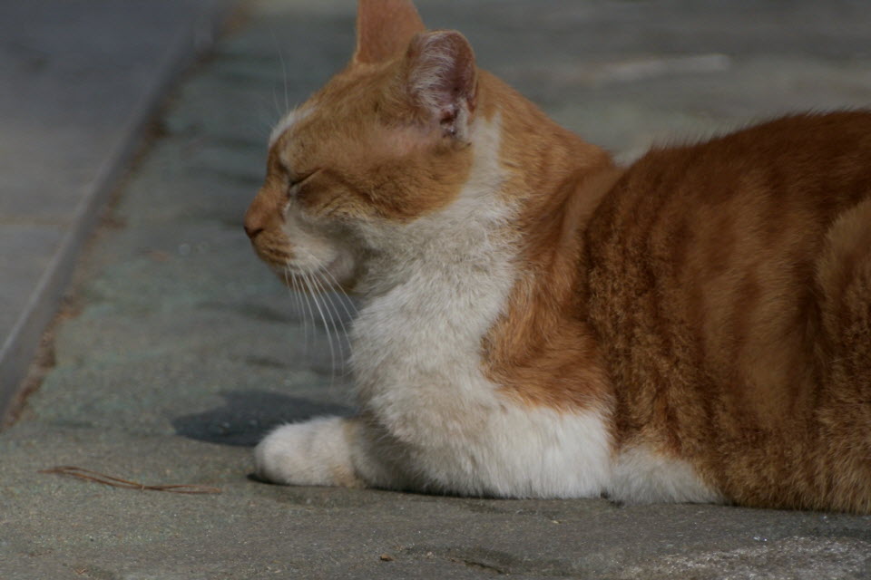 DSC_2186.JPG