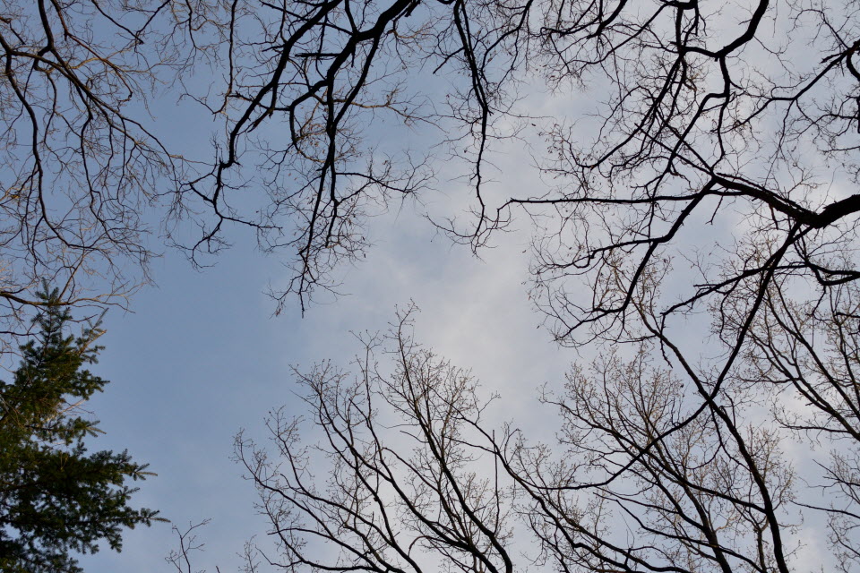 DSC_2199.JPG