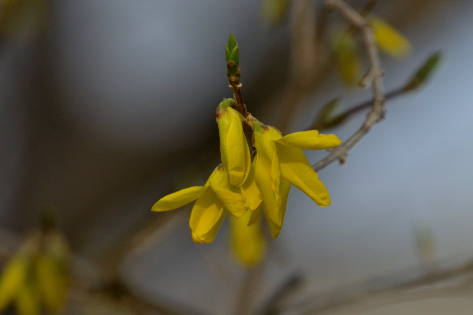 DSC_2205.JPG