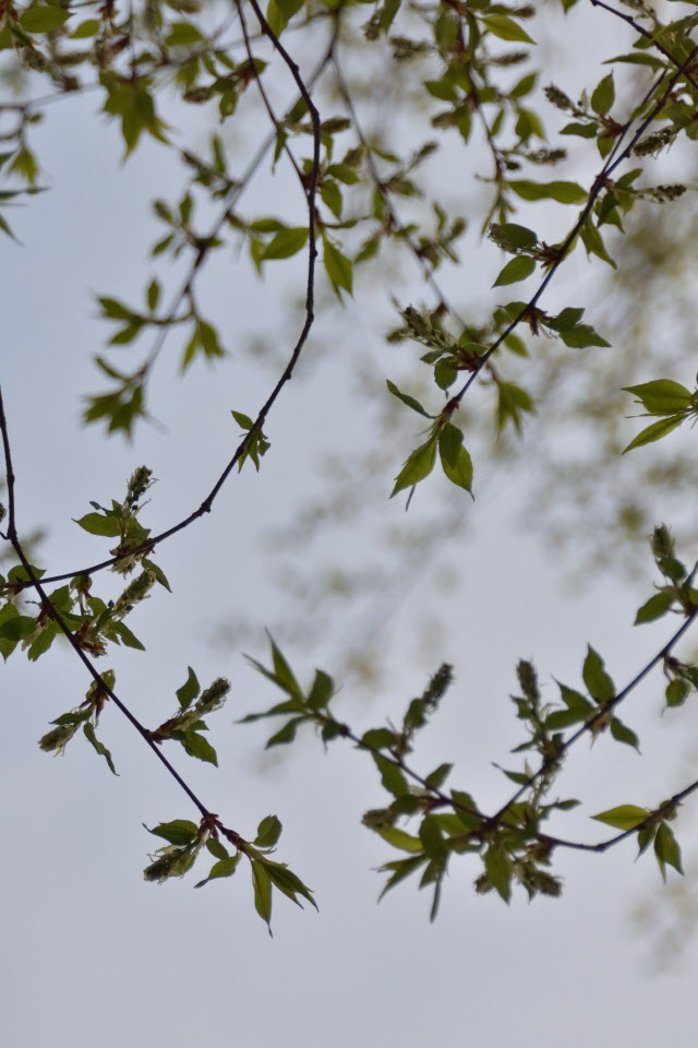 DSC_2193.JPG
