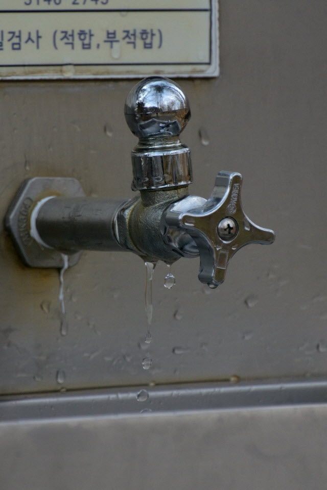DSC_2176.JPG