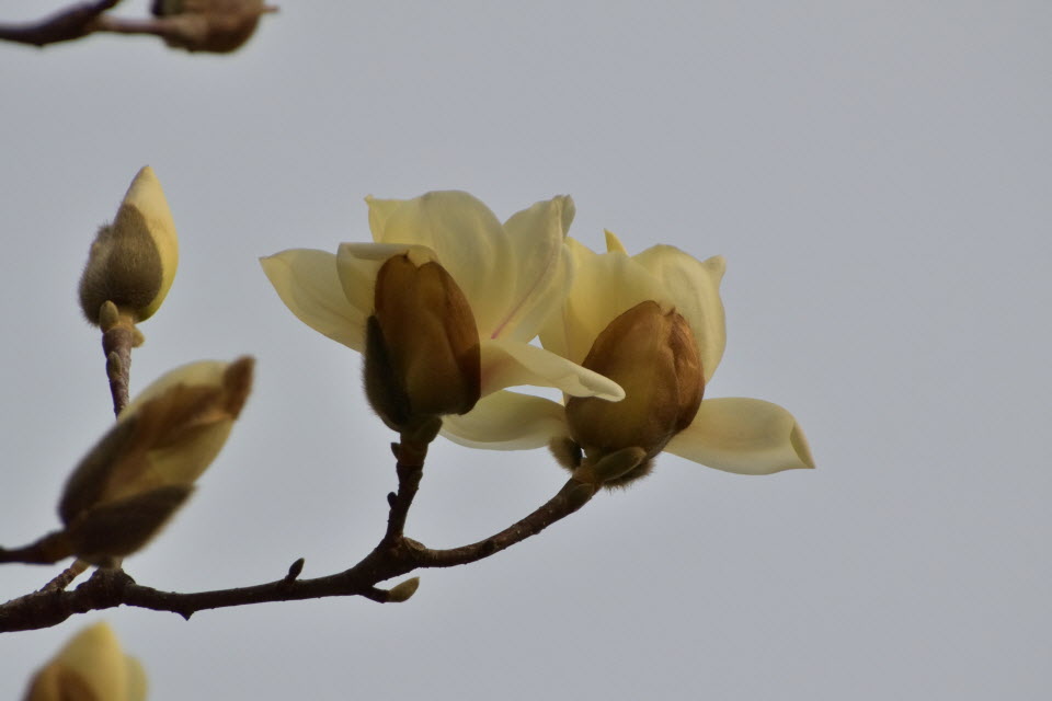 DSC_2255.JPG
