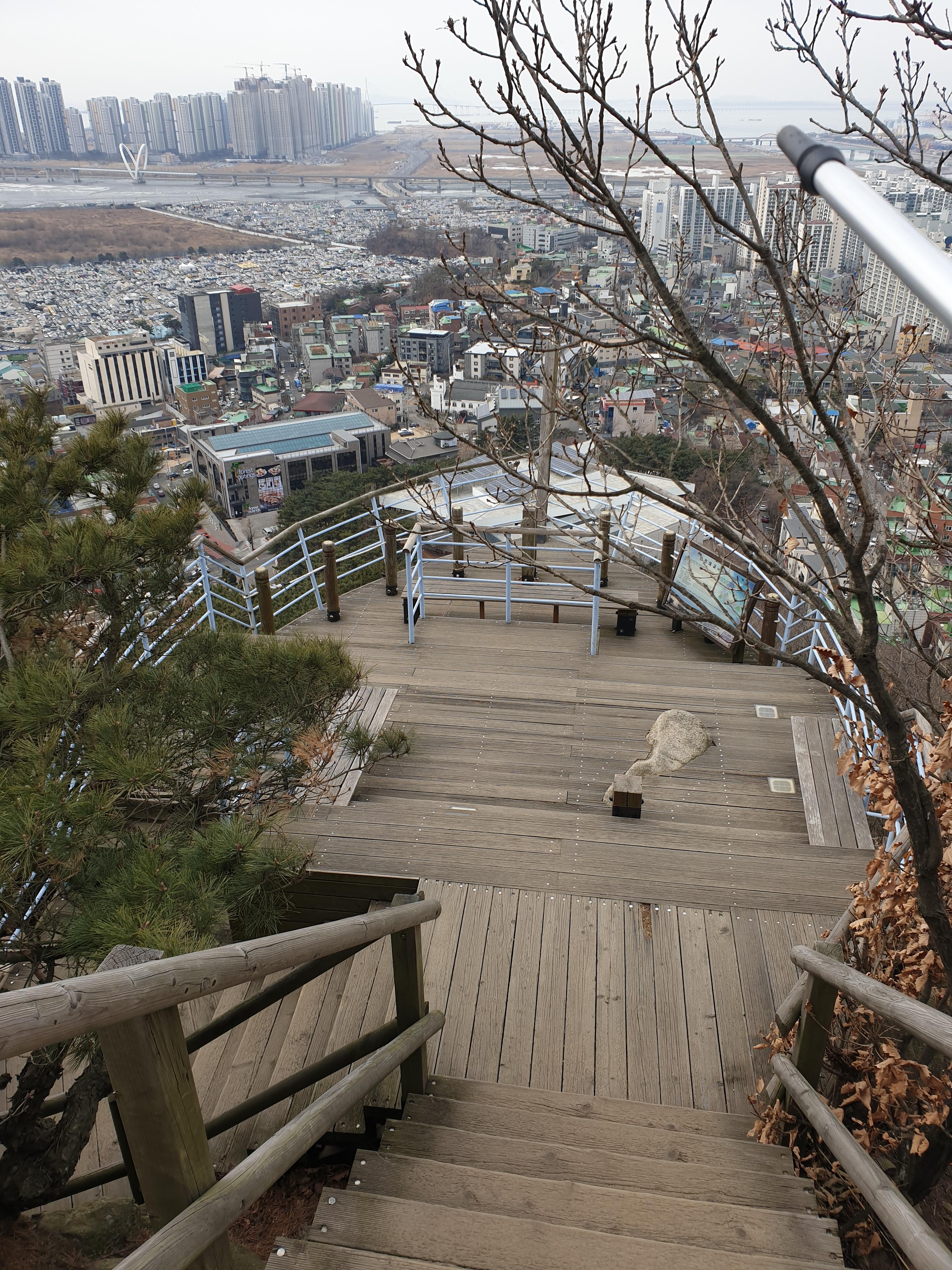 3월 포근한날 다녀온 청량산 문학산 입니다 - 사진 게시판 - 기글하드웨어
