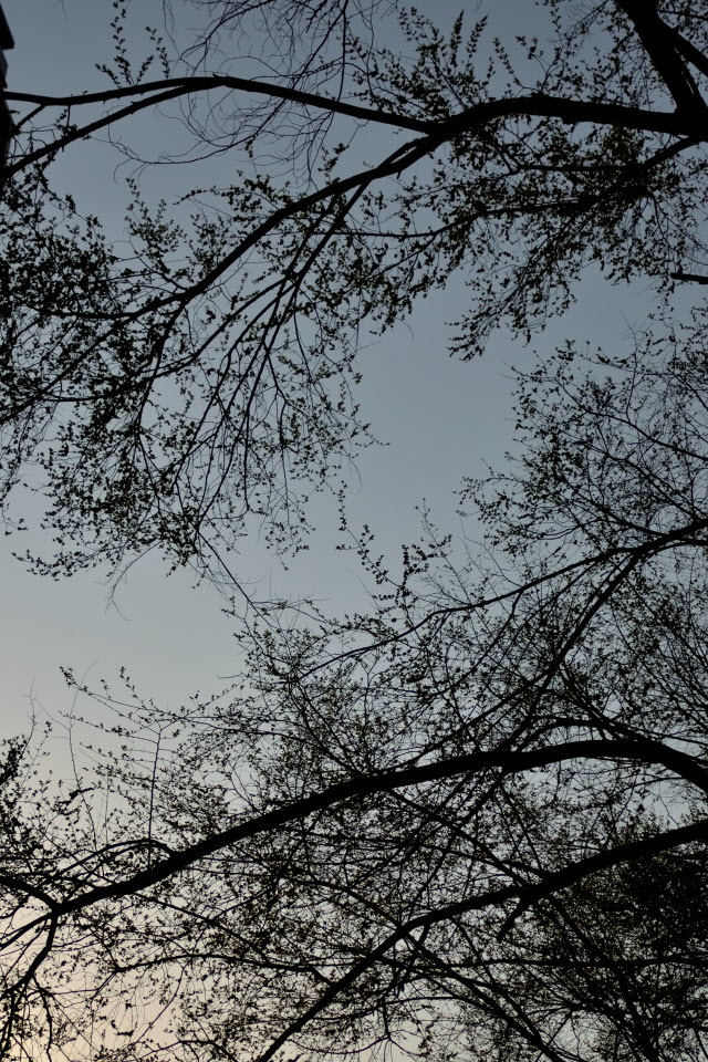 DSC_3116.JPG
