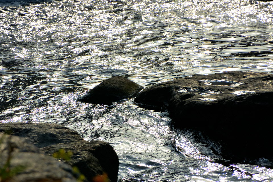 DSC_3083.JPG