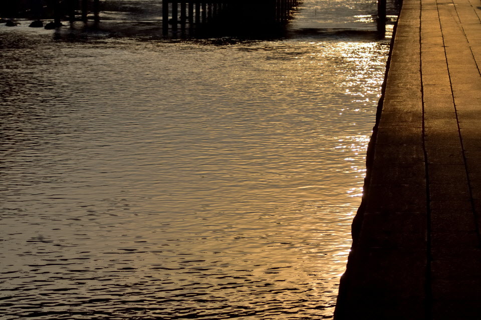 DSC_3189.JPG