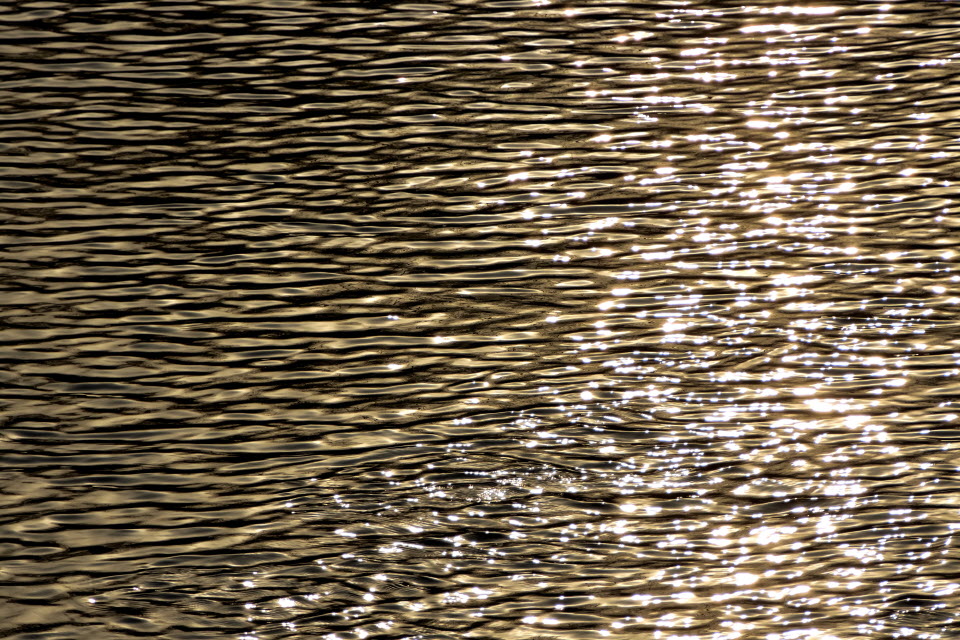 DSC_3129.JPG
