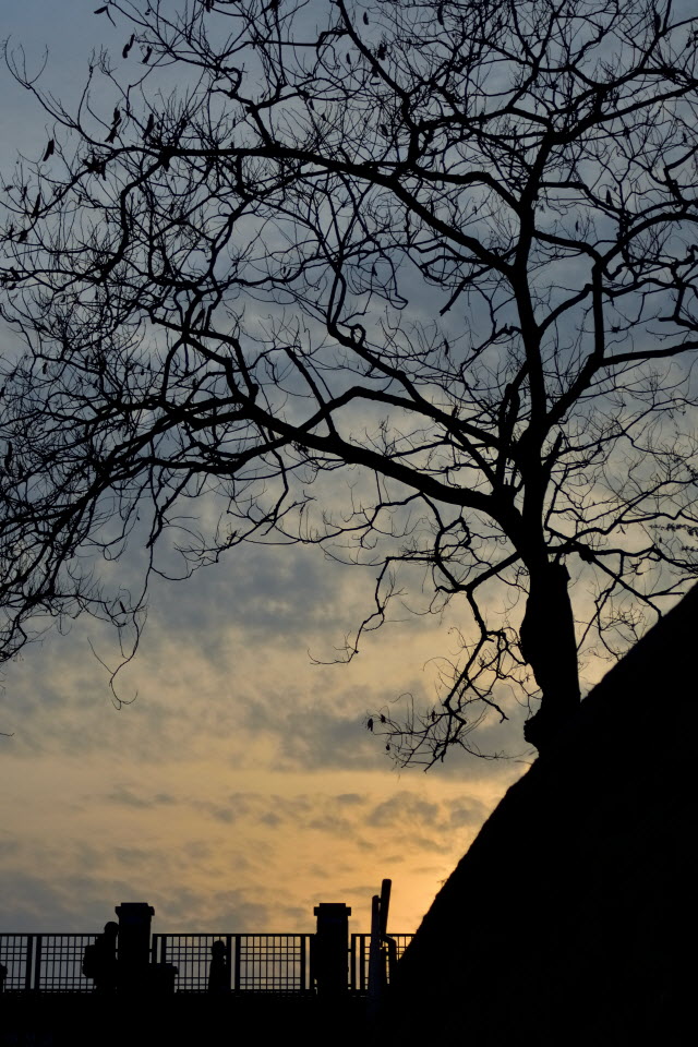 DSC_3219.JPG
