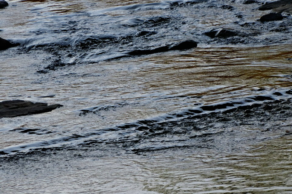 DSC_3045.JPG