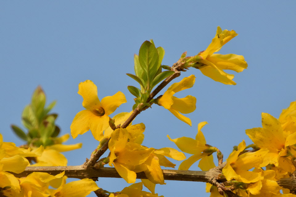 DSC_3021.JPG