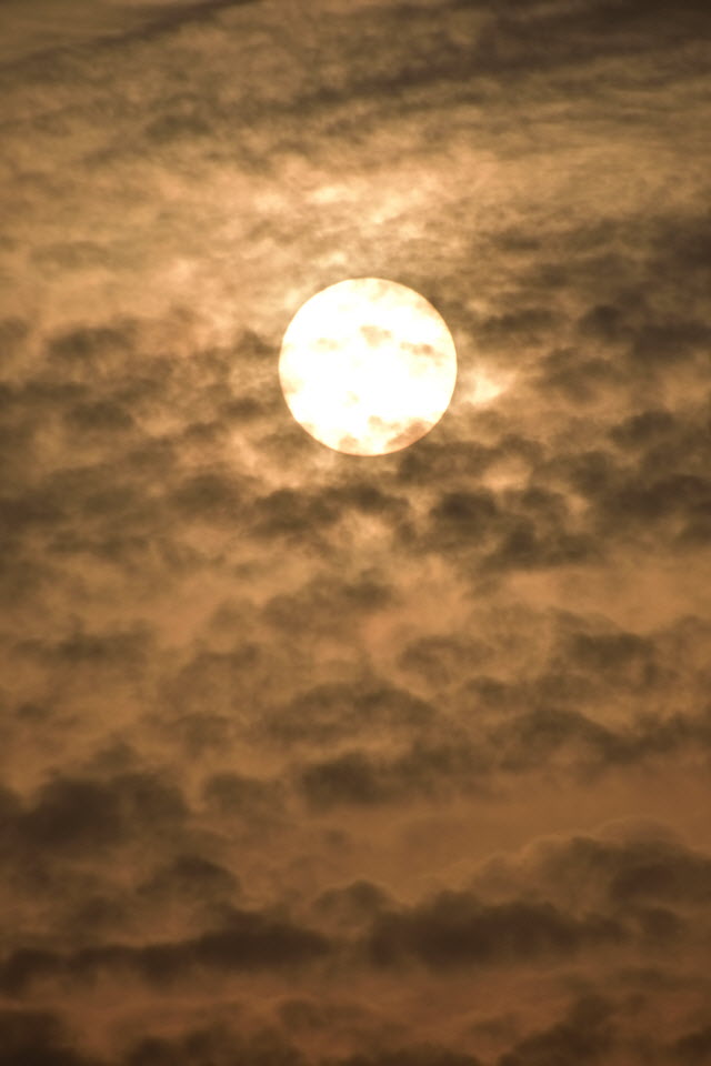 DSC_3197.JPG