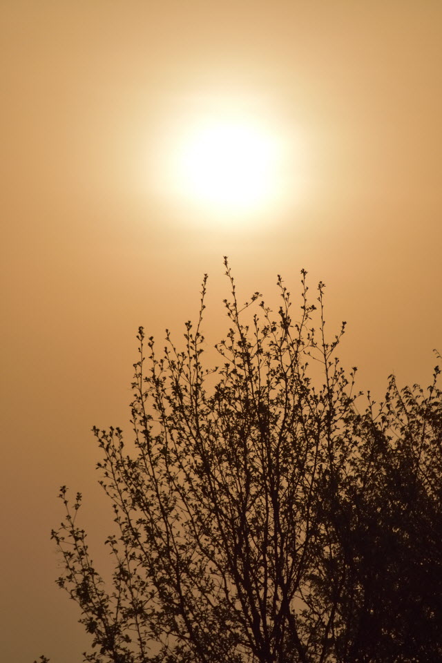 DSC_3185.JPG