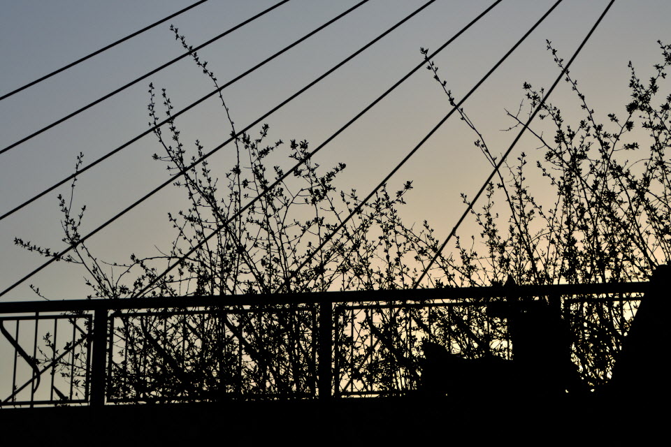 DSC_3166.JPG