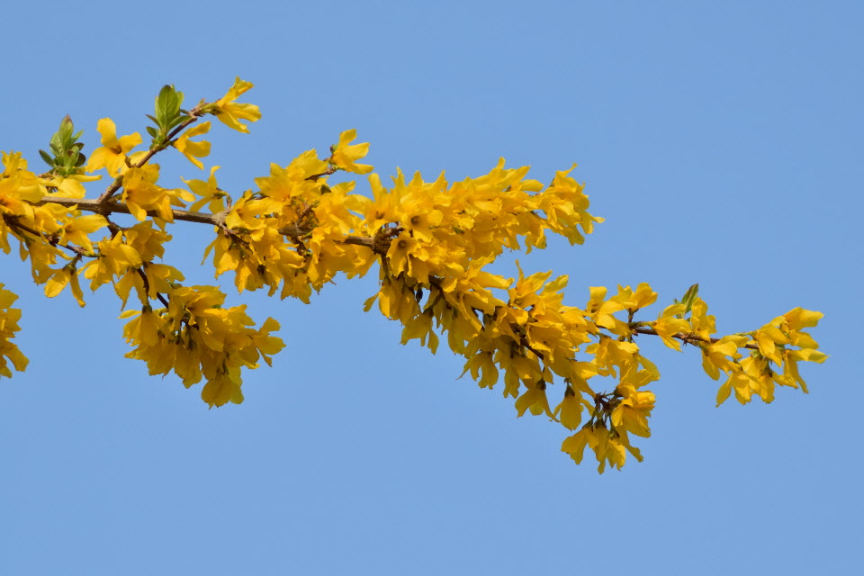 DSC_3017.JPG